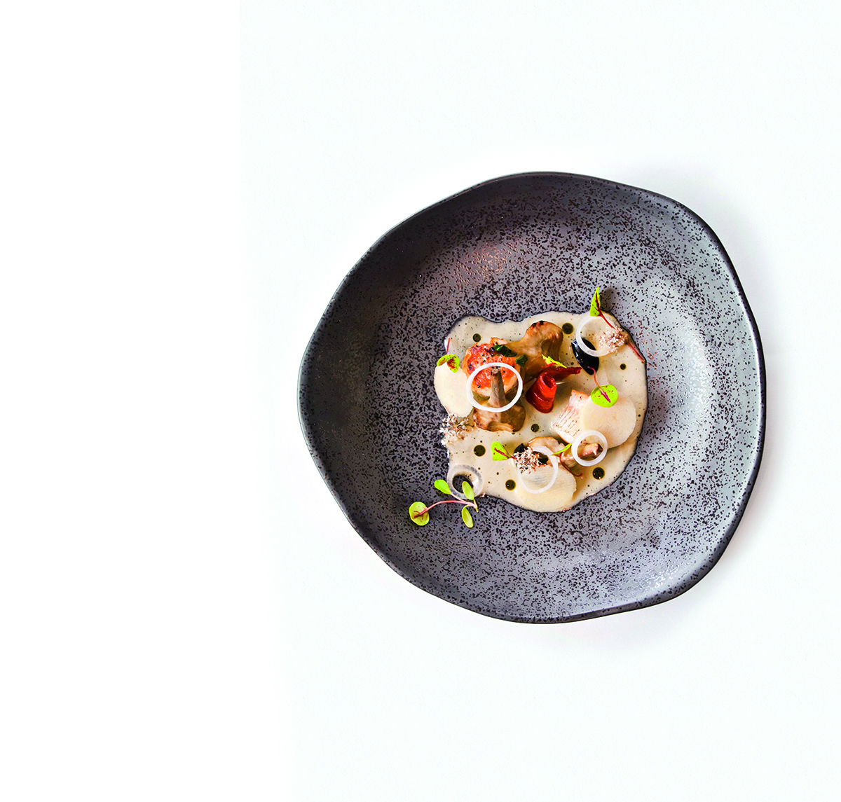 Barigoule of purple artichokes