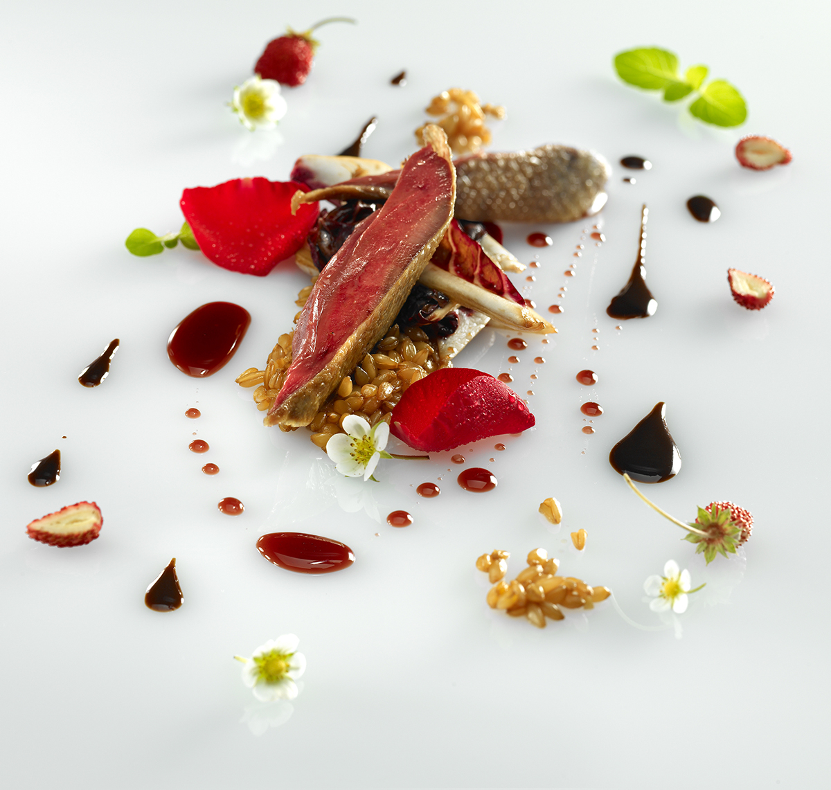 Roasted pigeon with spelt risotto and sesame seed condiment