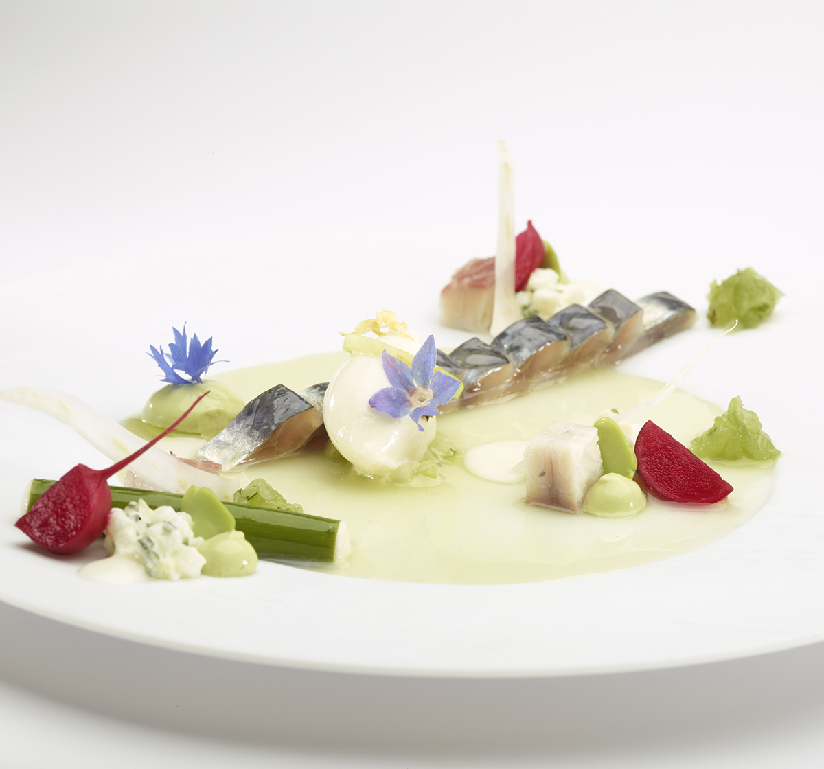 Sardines, radish, spring onion and cucumber