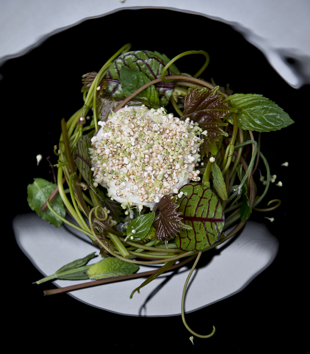 Eel and nasturtium