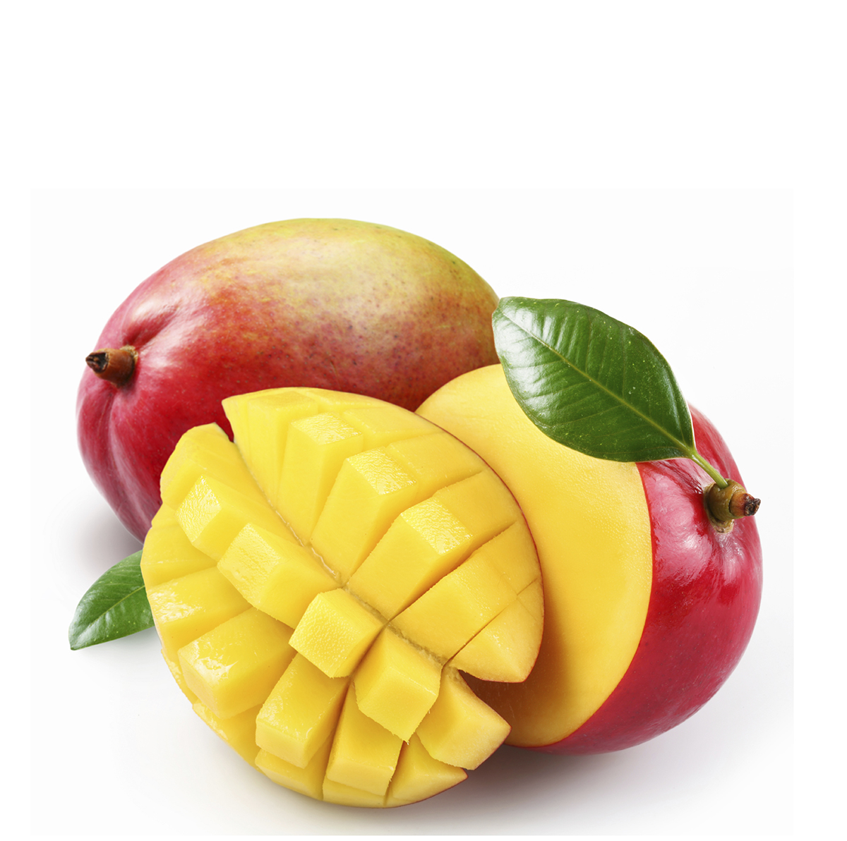 Манго кейт. Eva манго вк. Манго бразилия. Дерево манго кент. Craft mango.