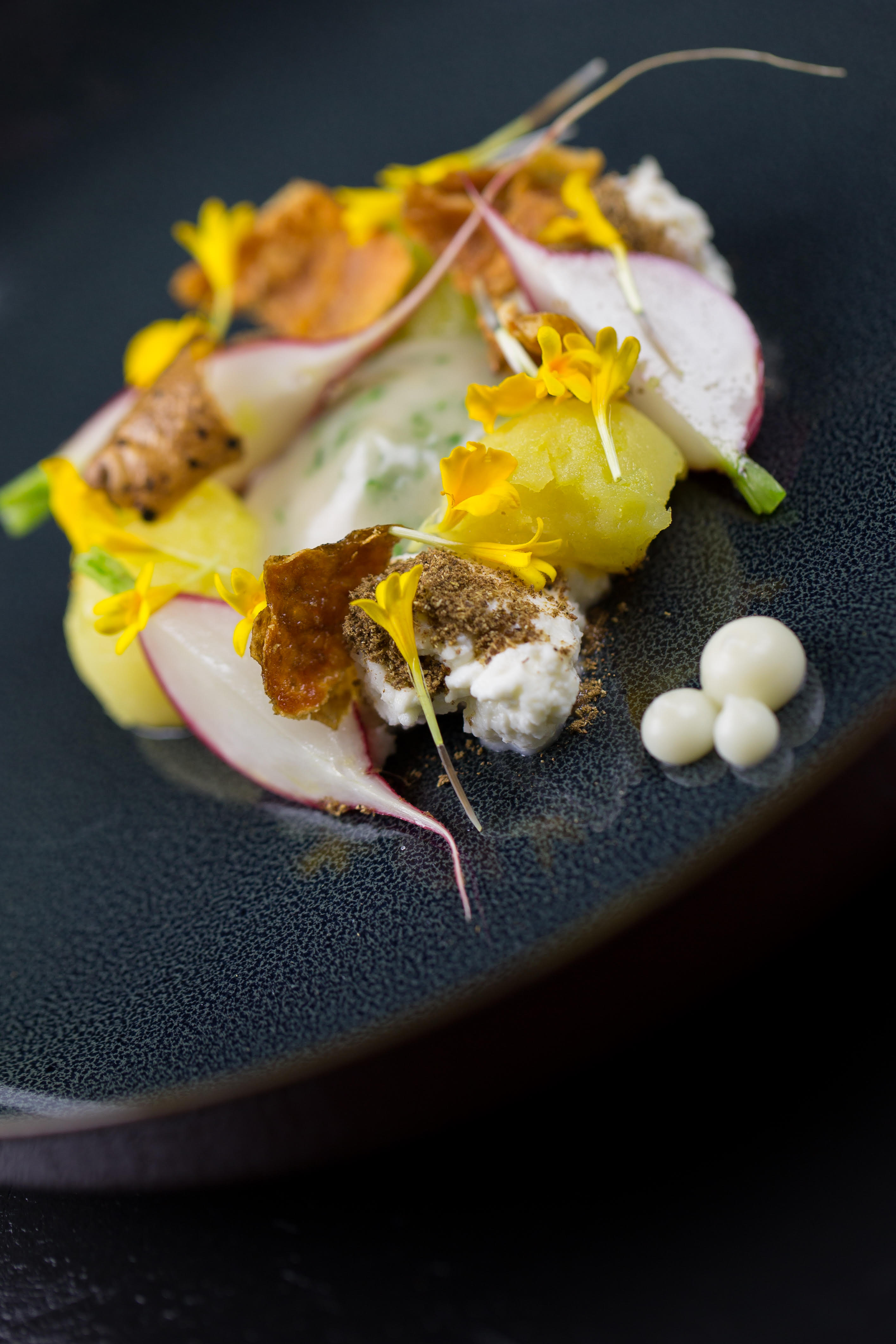 FOUR Magazine cream cheese