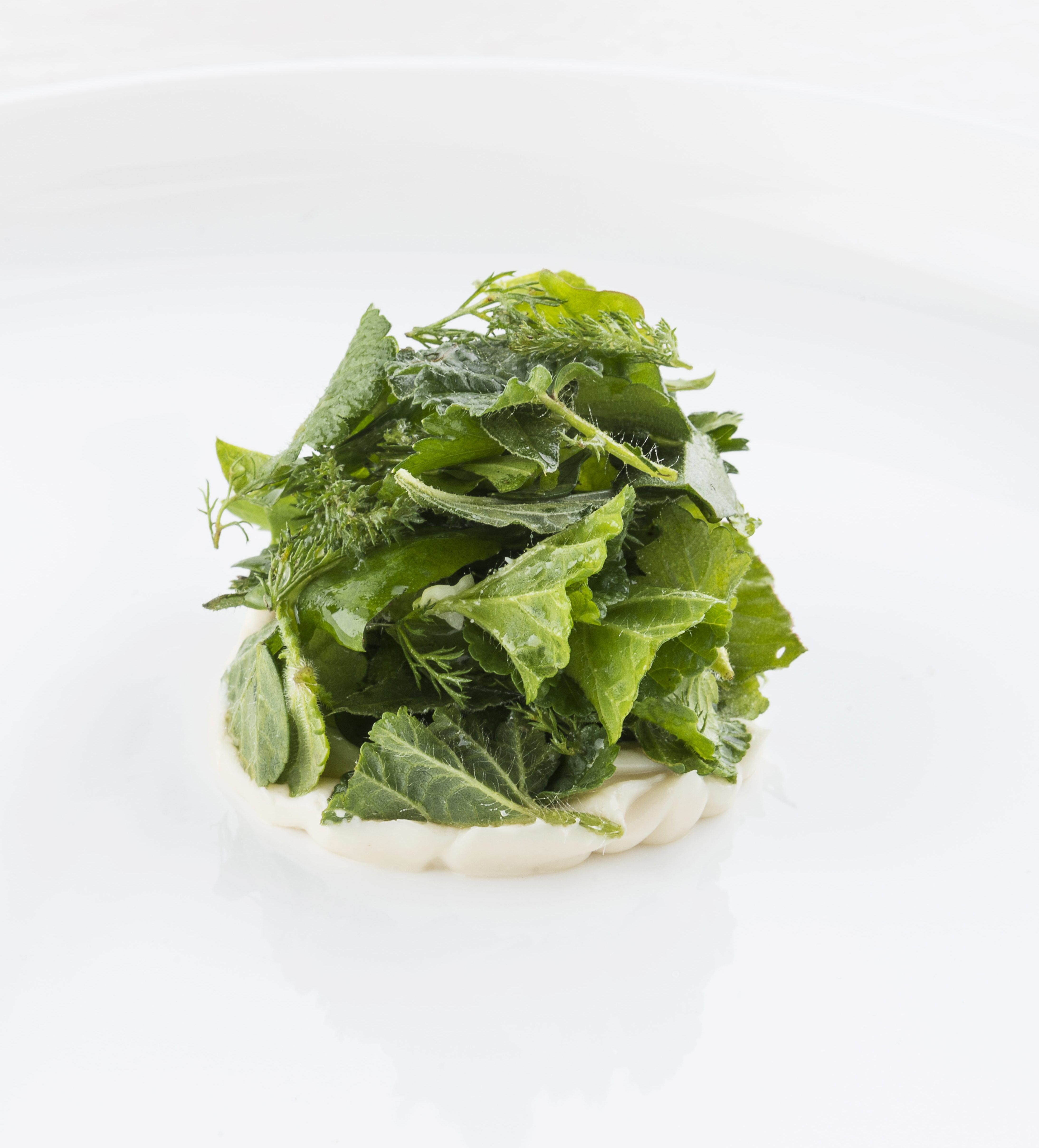 Niko Romito's Alcoholic mixed Wild Greens with Almond | FOUR Magazine