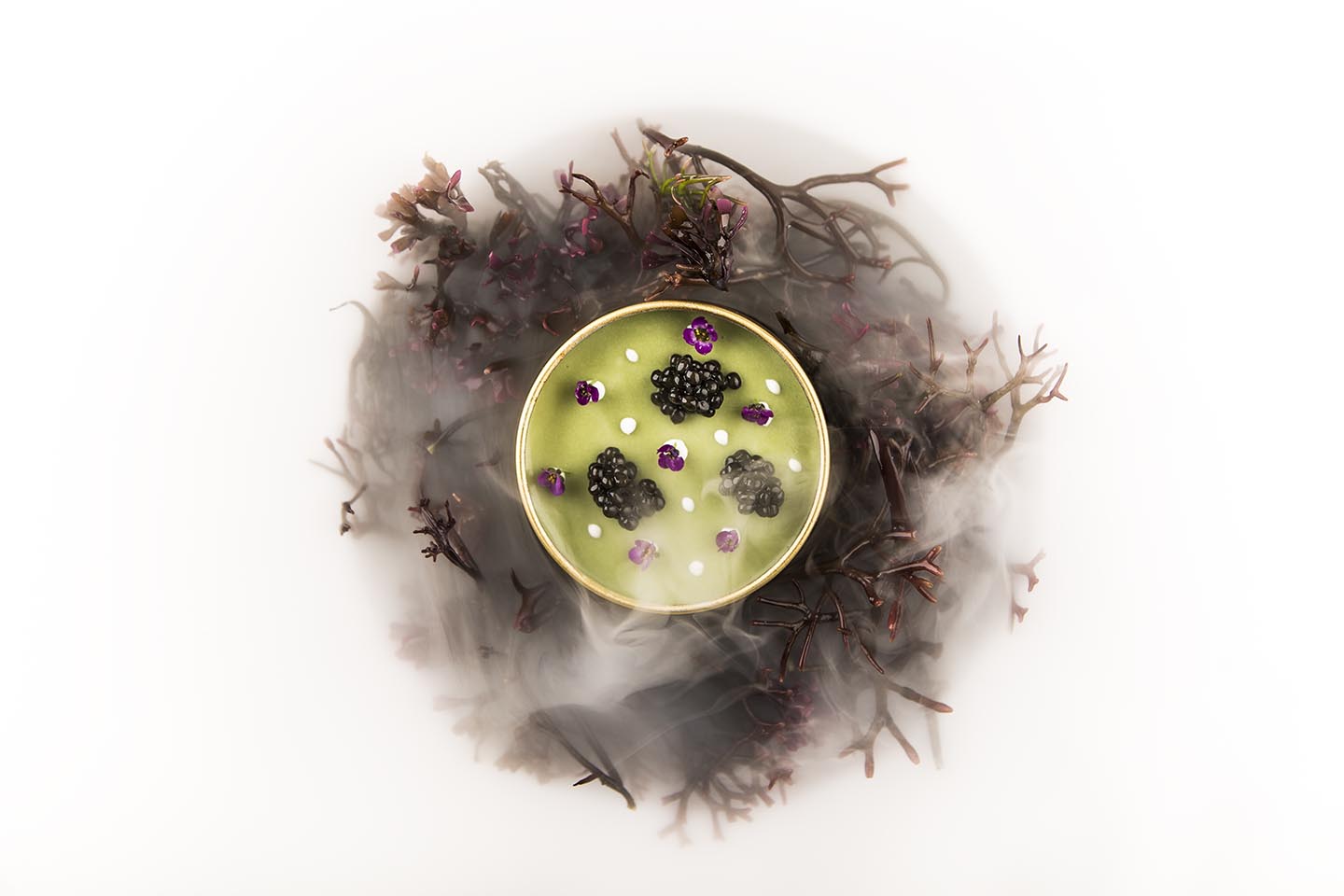 Ángel León’s Sea-Urchin Royal