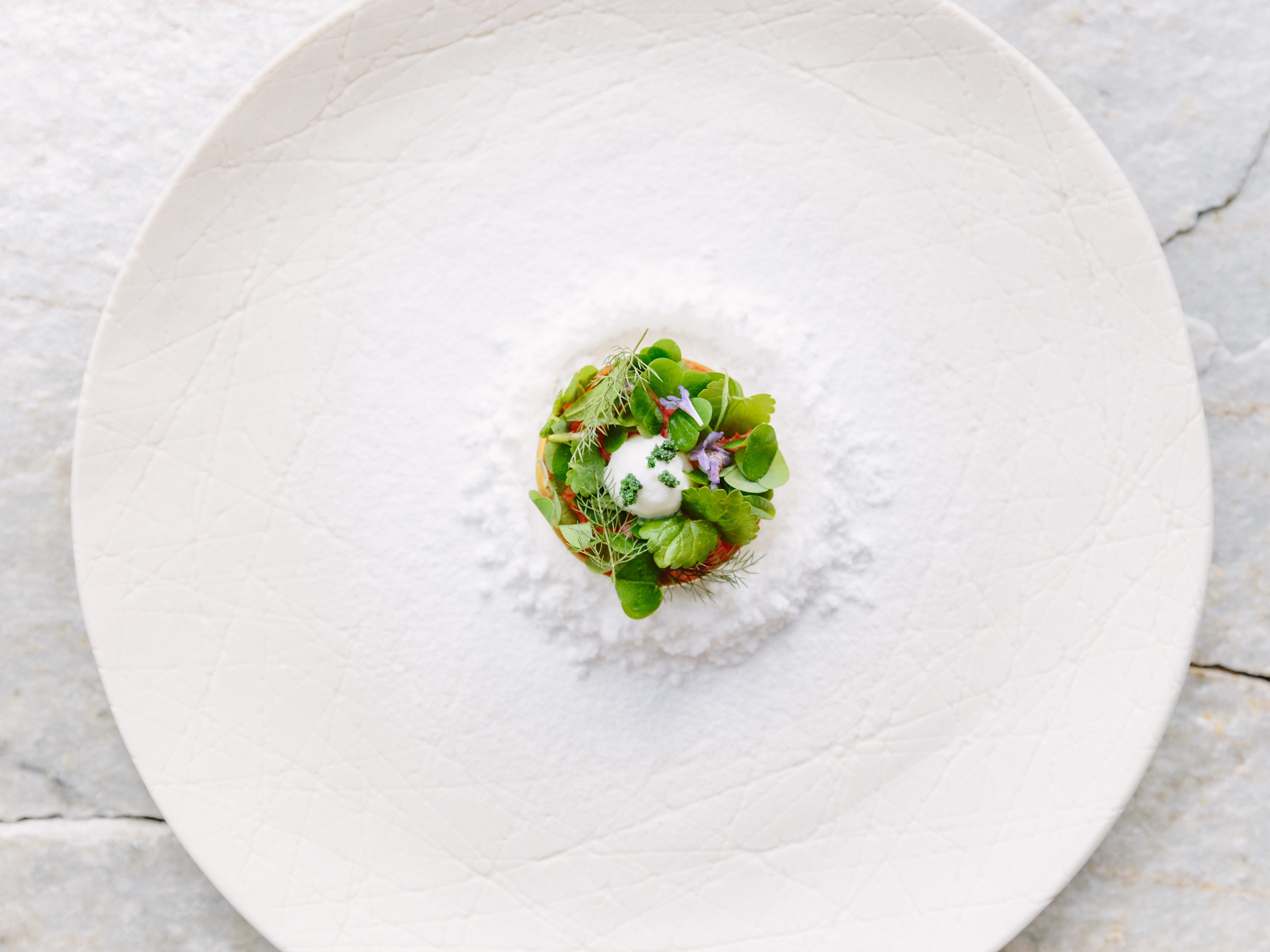 Heinrich Schneider’s Ground Ivy Cream with Raspberry Granita and Wild Herbs