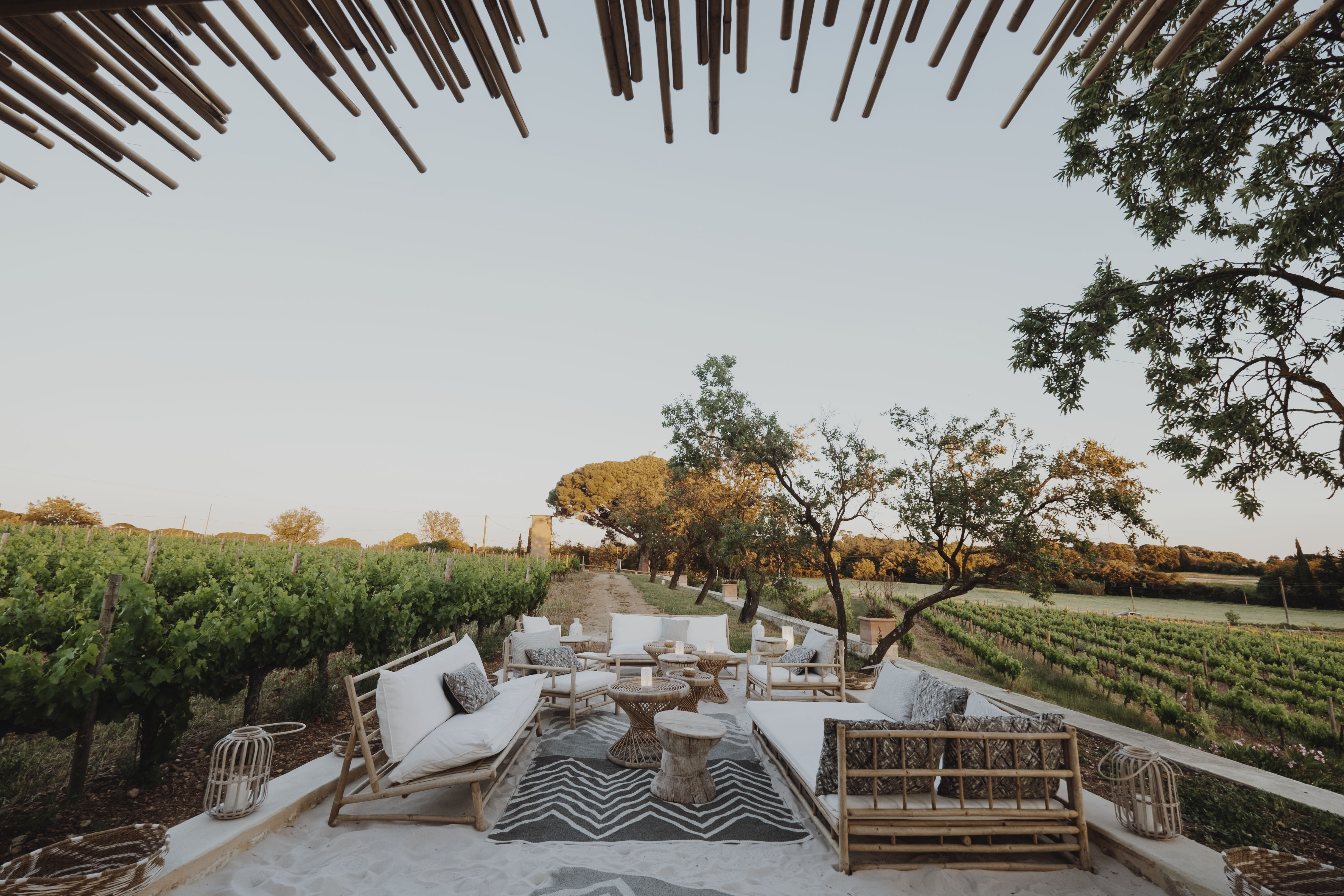 Summer Sensations Domaine De Verchant In Montpellier Has